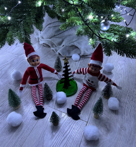 Druskos kristalų eglutė